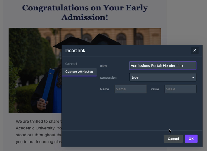 Screenshot of the Insert Link window showing the Custom Attributes tab with an alias assigned